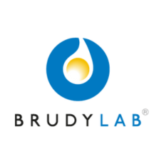 Brudy